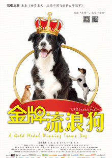 国产在线视频分类精品