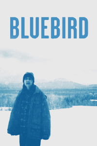 姐姐在上叫过不停