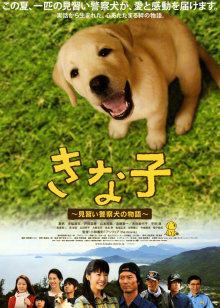 美女老师诱惑我