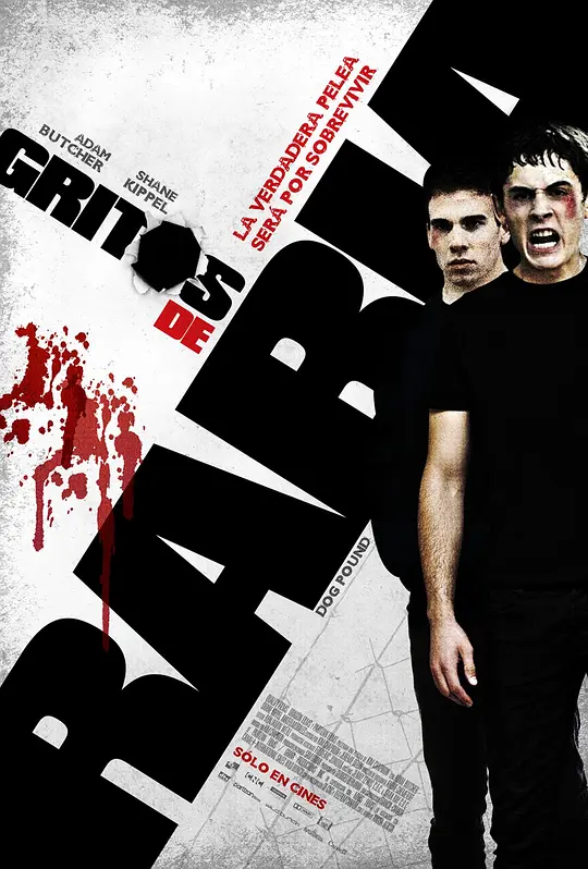 爱情公寓5免费观看完整