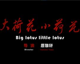 成品网站crm短视频