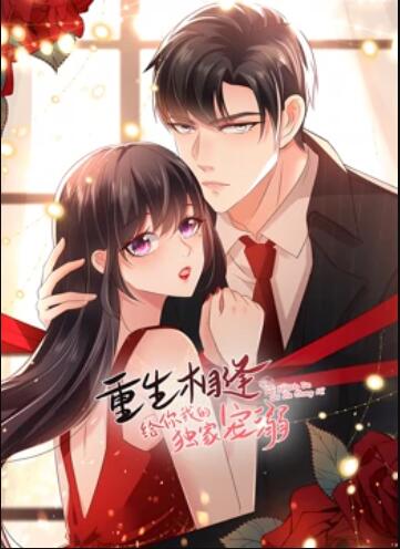 重生相逢:给你我的独家宠溺动态漫画第三季