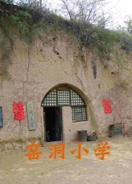 爱上漂亮女毒枭