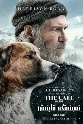 荔枝视频app宅男18禁