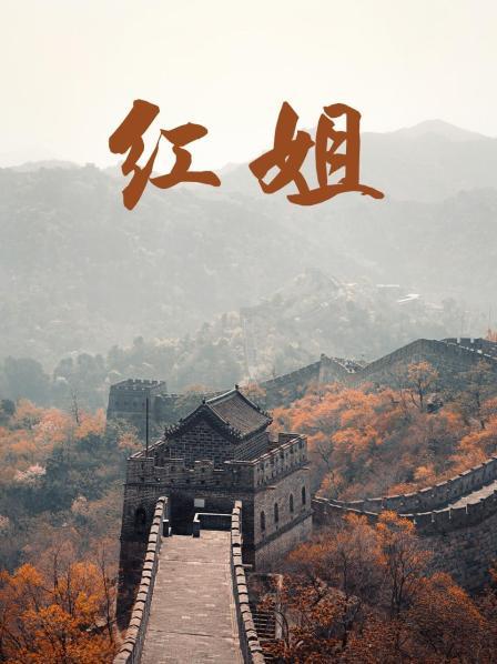 欧美动物交ideos