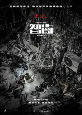 快手网红韩婧格在线观看