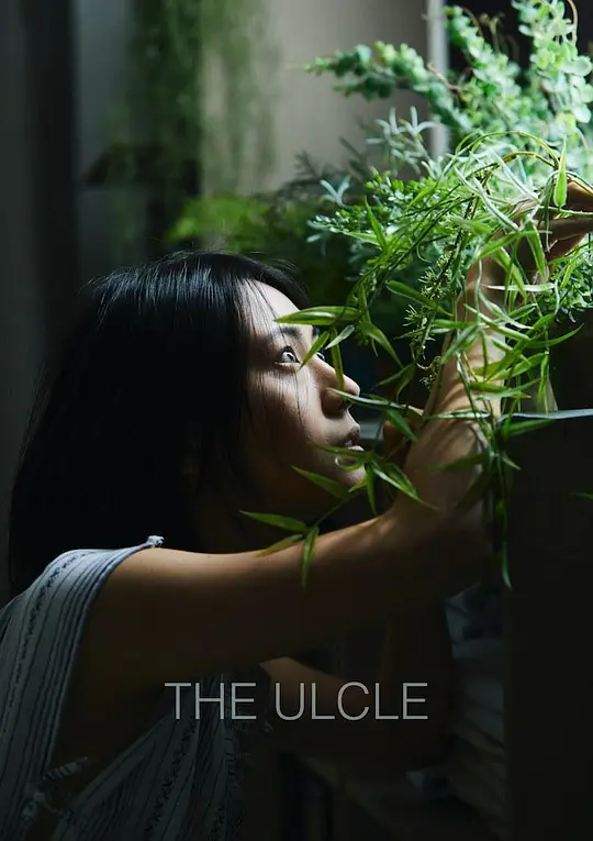 水豚先生无删减txt