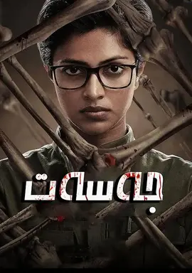 评书杨家将全集