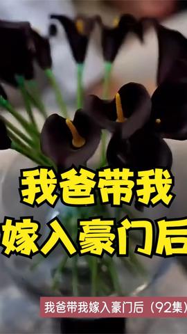 麻辣隔壁第四季