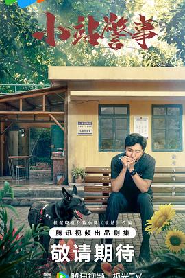 少帅电视剧免费完整版