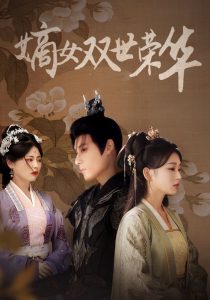 国产2017播放器无需