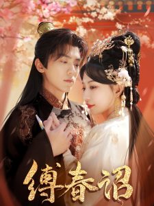 将军在上全集免费播放