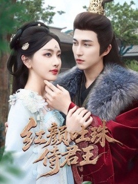 低压电工证网上查询