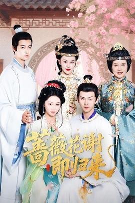 国产红绿灯寸止