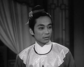 陆贞传奇剧情介绍