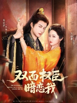 W435CC免费观看电视剧