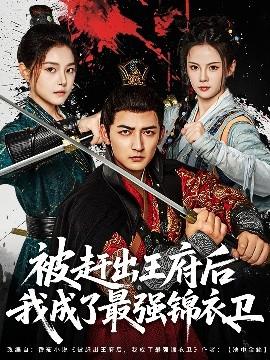 裸模之错过的女孩