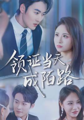 领证当天成陌路
