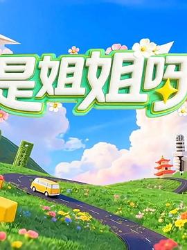 是姐姐呀海报