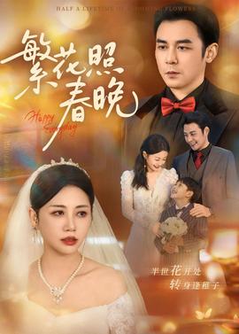 繁花照春晚封面图
