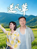 逆风草封面图