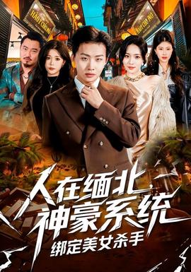 人在缅北，神豪系统绑定美女杀封面图