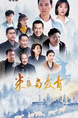 米良与麦青封面图