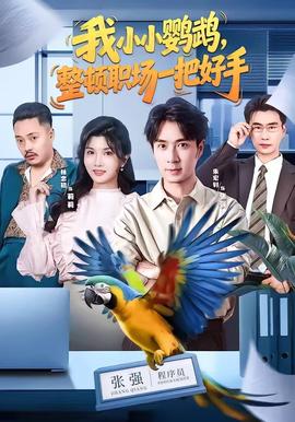 我小小鹦鹉，整顿职场一把好手海报