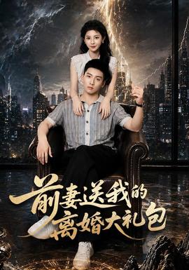 前妻送我的离婚大礼包海报
