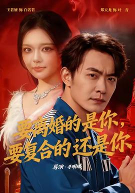 要离婚的是你，要复合的还是你海报