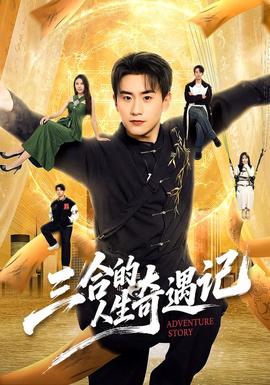 三合的人生奇遇记海报