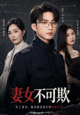 妻女不可欺海报