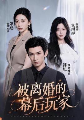 被离婚的幕后玩家海报