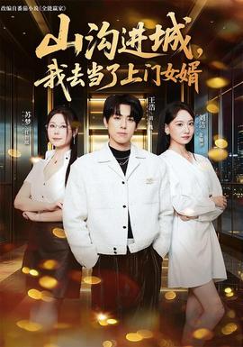 山沟进城，我去当了上门女婿海报