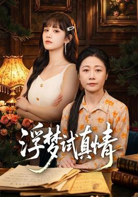 浮梦试真情海报
