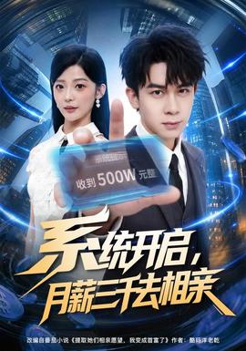 系统开启，月薪三千去相亲海报