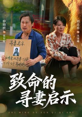 致命的寻妻启示海报