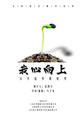 我心向上封面图