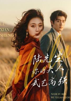 陆先生，你的夫人武艺高强封面图