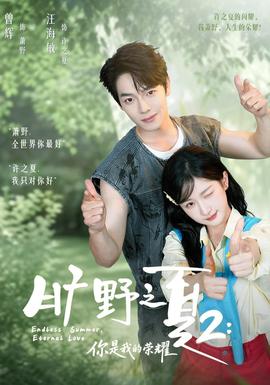 旷野之下2：你是我的荣耀封面图