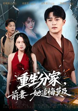重生分家，前妻她追悔莫及封面图
